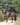 EQUIDRY women's long waterproof horse riding coat in black/peacock pink shown by rider out hacking on horse