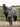 Shortie Child's Oversized Short Waterproof blouson style Riding Jacket Thin Fleece Lining Stowaway Hood in charcoal/grey girl with horse wearing matching exercise sheet
