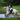 What To Wear For Eventing | Competition Essentials