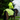 The best riding coats & jackets for hi visibility & safety riding