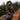 Bronte | Waterproof Riding Coat
