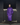 Evolution Women's | Mesh Lined | Purple