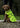 Waterproof Dog Coat | Hi-Vis Yellow