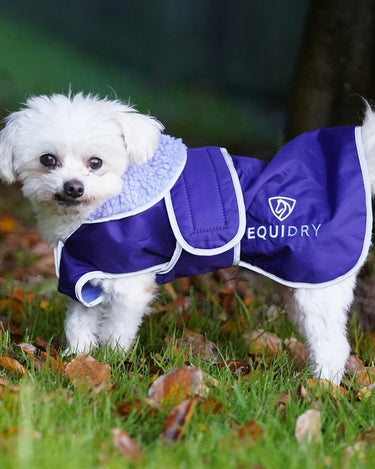 EQUIDRY | Dog Coat | Deep Purple/Purple - EQUIDRY