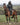 EQUIDRY |  Parka | Women's | Black -  waterproof riding and leisure coat with padded inner detachable faux fur trim rider on horse hood over hat