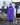 Evolution Women's | Mesh Lined | Purple