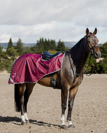 Waterproof Exercise Sheet Thick | Plum/Grey