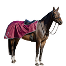 For Horse