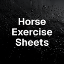 Exercise Sheets